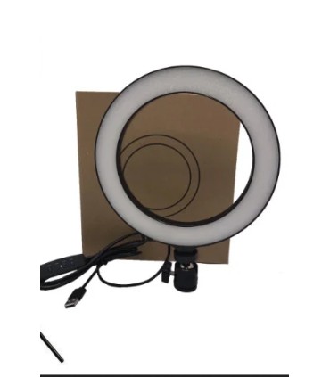 Эконом светодиодная кольцевая лампа USB 20 см купить оптом