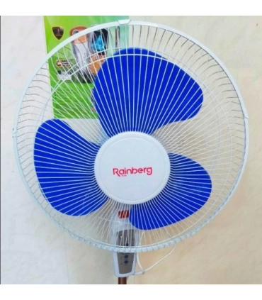Вентилятор з пультом та тамером 40W Rainberg FS-1608 оптом, Rainberg , 14,00 $