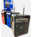 Радио с фонариком колонка GOLON RX-9100