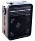 Радио с фонариком колонка GOLON RX-9100 купить оптом Одесса 7 км