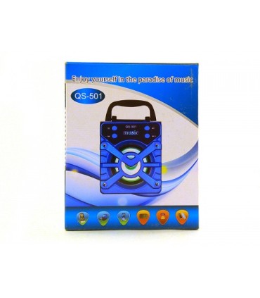 Портативна MP3 колонка з Bluetooth WSTER QS-501 купити оптом
