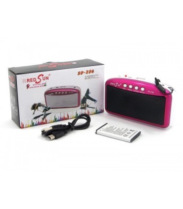 Портативный радиоприемник для девушек RedSun SP-236 купить