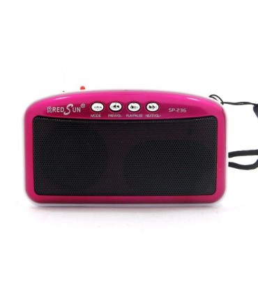 Портативный радиоприемник для девушек RedSun SP-236 купить