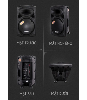 Акустическая система с радиомикрофоном TEMEISHENG DP 297 L оптом, Temeisheng , 140,00 $